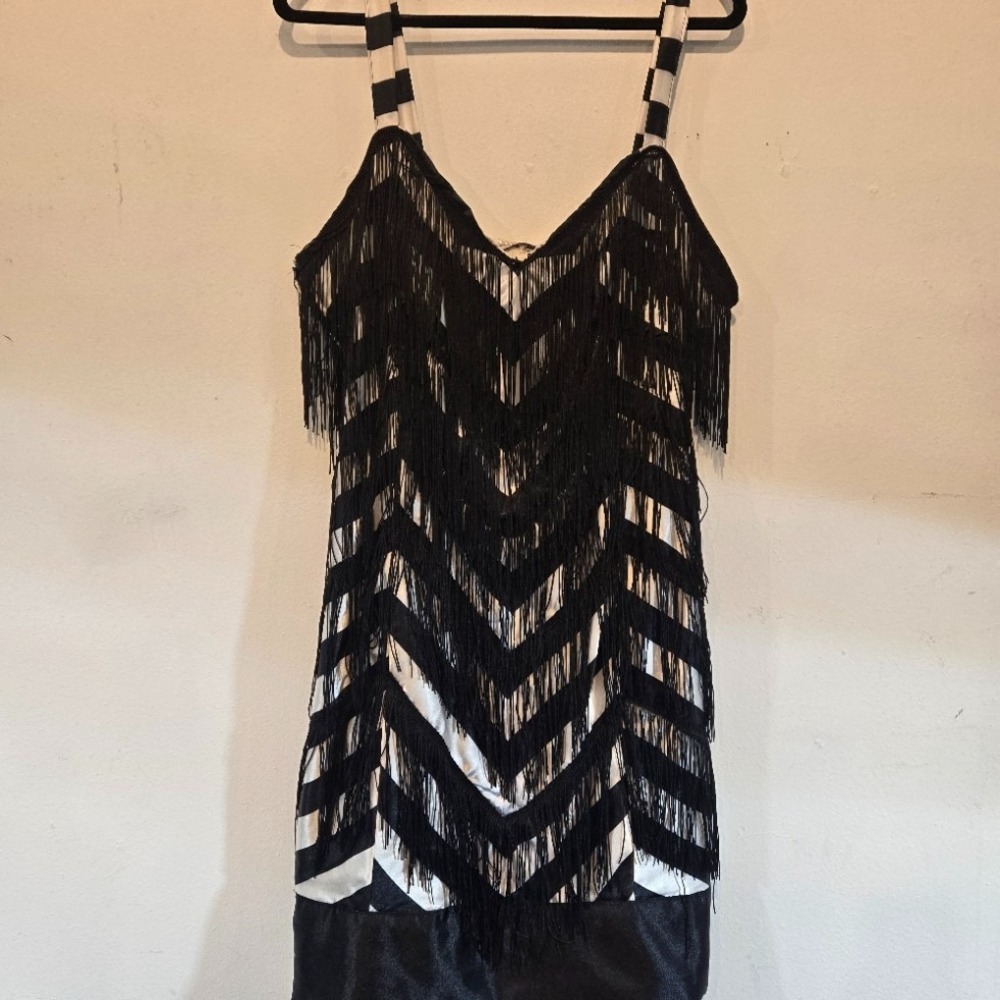 Black and White Striped 20s  STYLE Flapper Dress with Fringe - not an antique